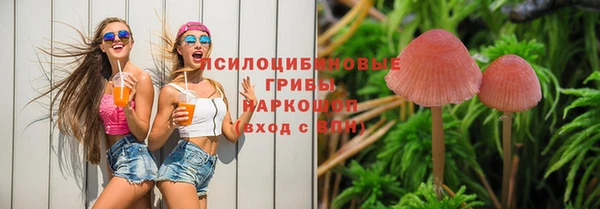 твердый Алексин