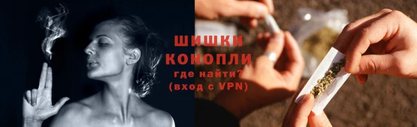 дурь Осташков