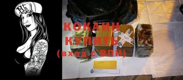 дурь Осташков