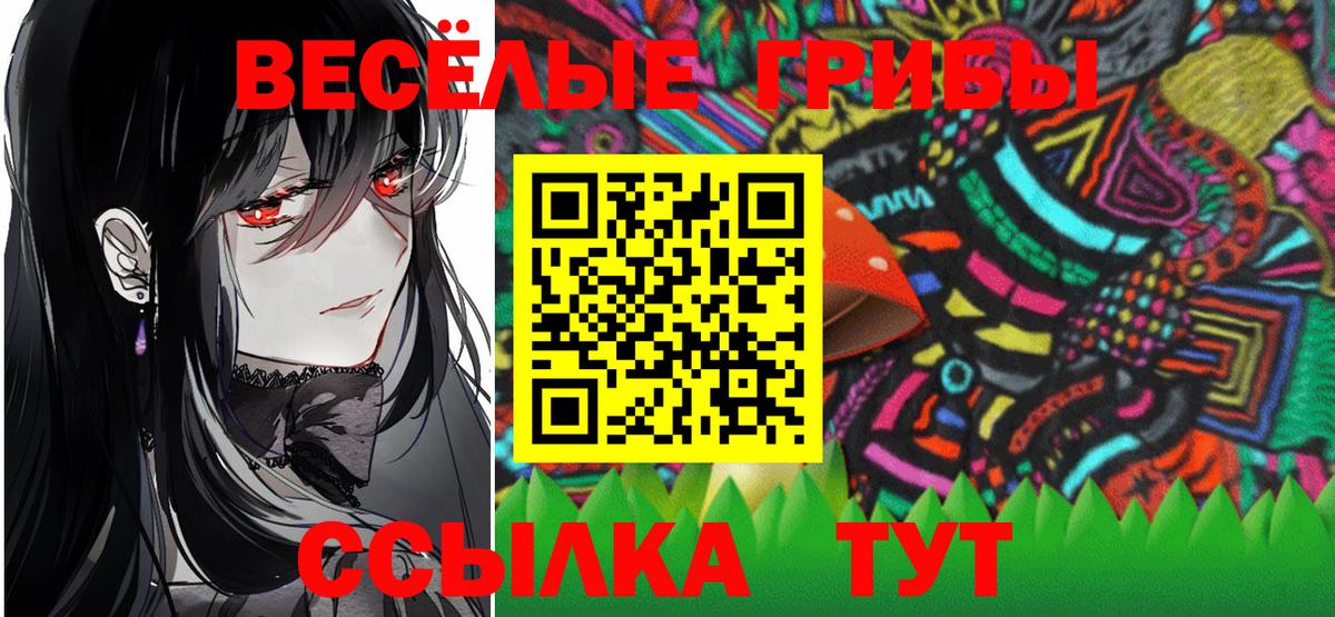 Псилоцибиновые грибы Cubensis Туймазы