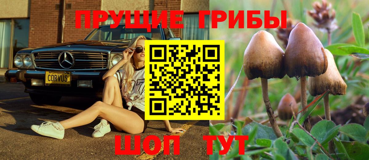 Галлюциногенные грибы мухоморы  Вход с VPN  Туймазы 